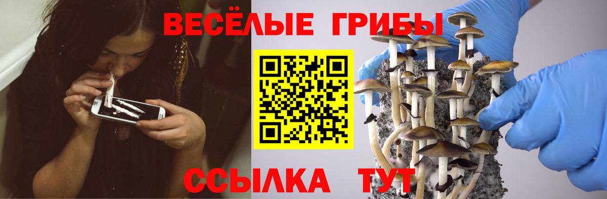 МЕТАДОН Советск